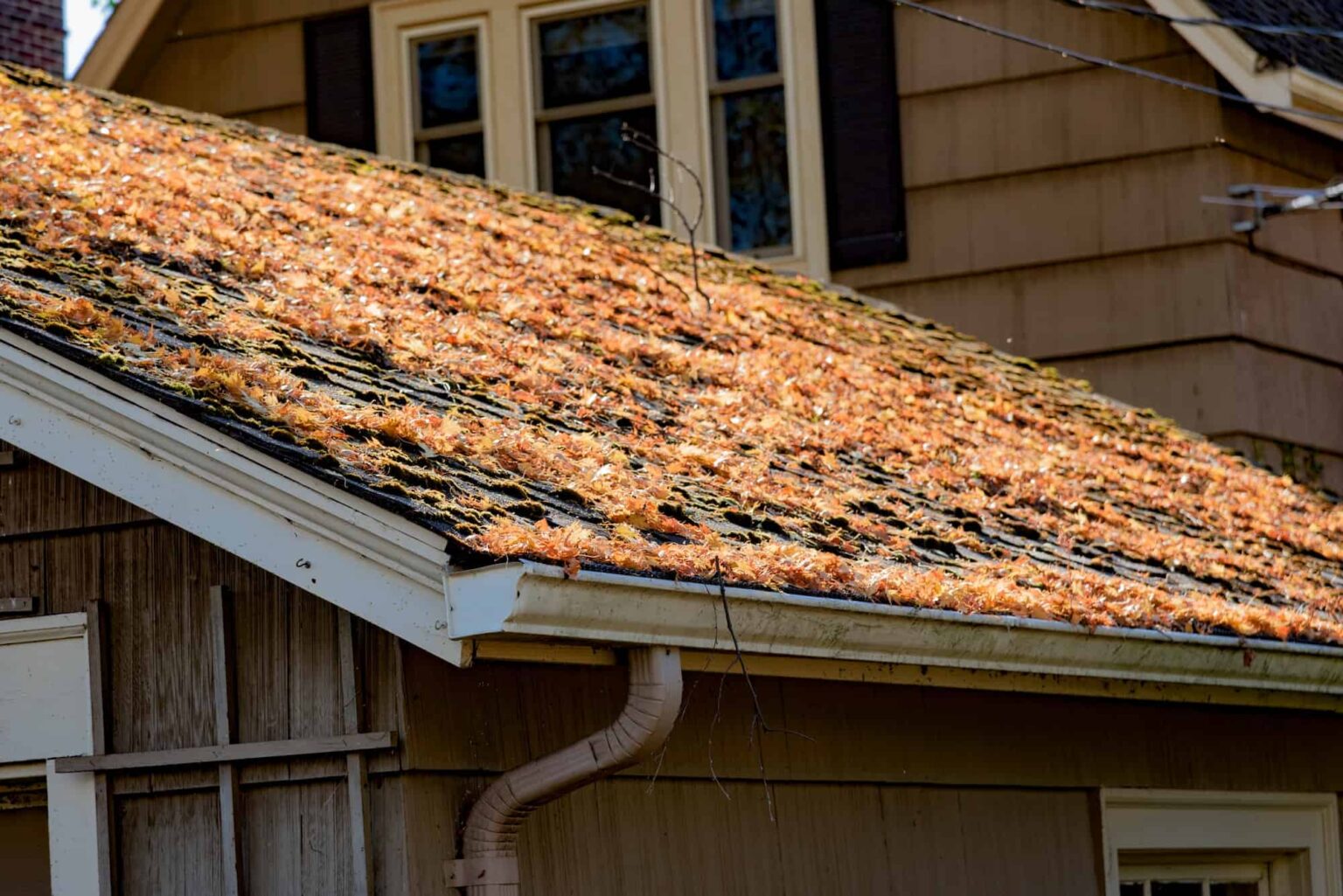autumn-leaves-on-shingled-roof-with-rain-gutters.jpg